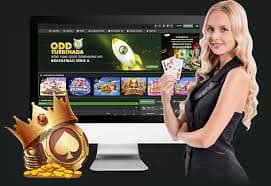8277bet